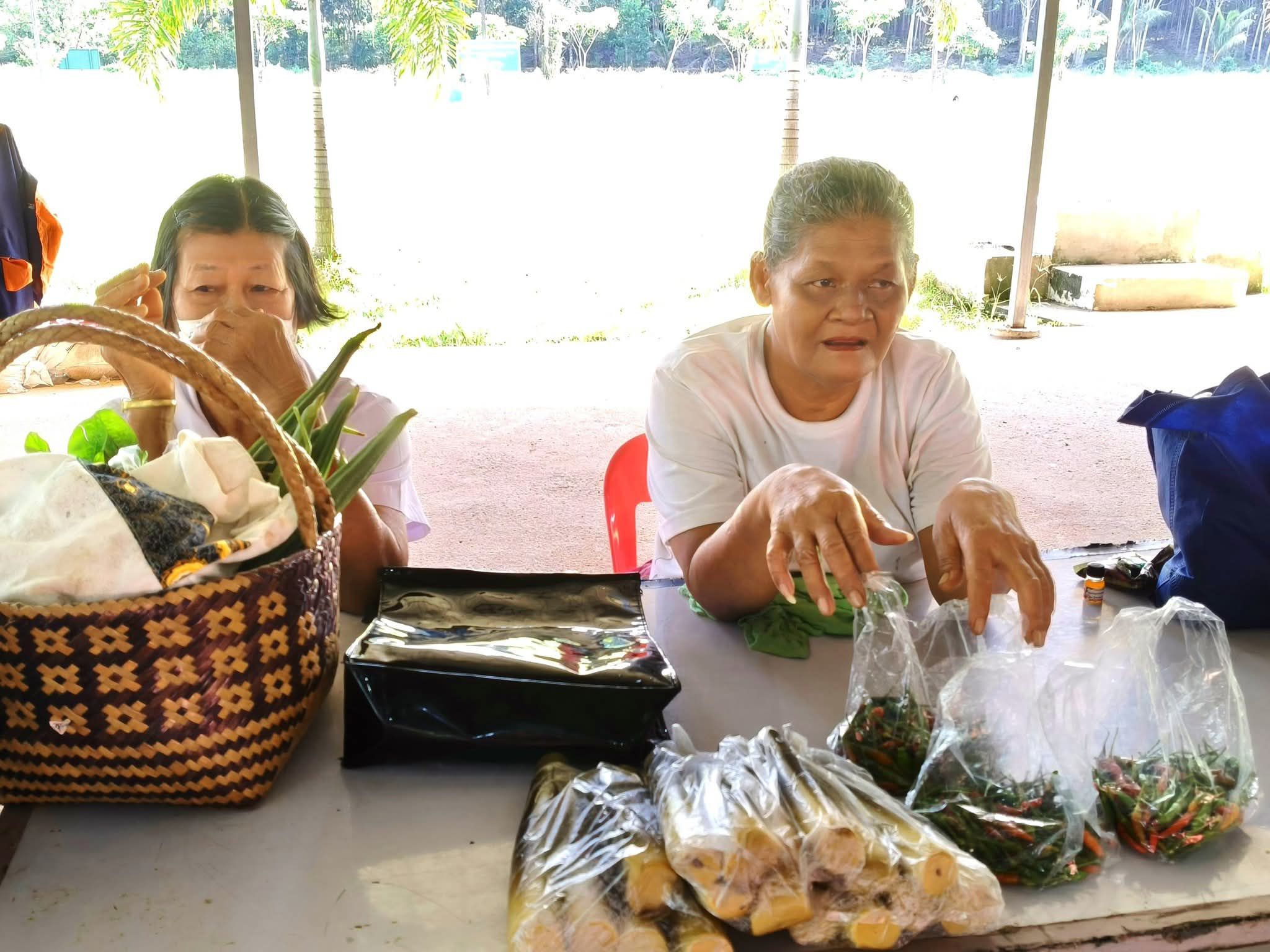 การส่งเสริมอาชีพผู้สูงอายุ หลายคนชอบการปลูกผัก ทำสวน เป็นทุนเดิมอยู่แล้ว เพราะได้อยู่กับธรรมชาติ ได้ใช้แรงเป็นการออกกำลังกายยืดเส้นยืดสายไปด้วยในตัว ซึ่งผลผลิตที่ได้มา ก็สามารถนำมากินเองโดยไม่ต้องเสียเงินซื้อ ถ้าผลผลิตเหลือ ก็สามารถเอาไปขายตามท้องตลาด หรือฝากขายตามร้านสะดวกซื้อ